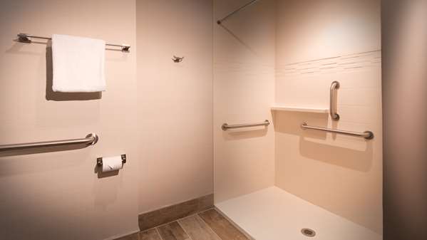 Accessible - 1 King, Mobility Accessible, Roll In Shower, Balcony, View, Non-Smoking