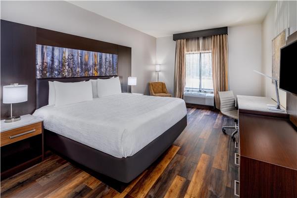 1 King Bed, Non-Smoking, Microwave And Refrigerator