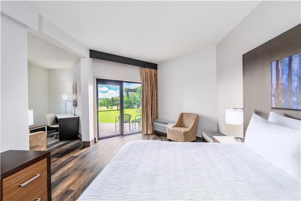 Suite-1 King Bed, Non-Smoking, Separate Bedroom, Sofabed, Microwave And Refrigerator