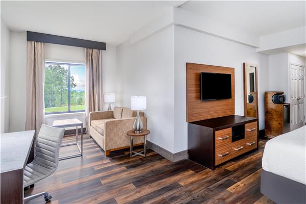 1 King Bed, Non-Smoking, Sofabed, Balcony, View, Microwave And Refrigerator