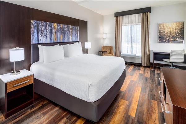 1 King Bed, Non-Smoking, Sofabed, Balcony, View, Microwave And Refrigerator