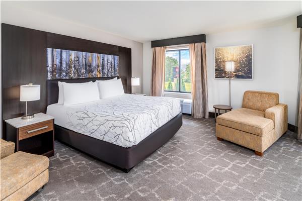 1 King Bed, Non-Smoking, Larger Room, Sofabed, Microwave And Refrigerator