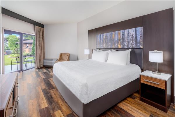 Suite-1 King Bed, Non-Smoking, Separate Bedroom, Sofabed, Microwave And Refrigerator