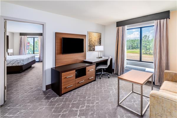 1 King Bed, Non-Smoking, Larger Room, Sofabed, Microwave And Refrigerator