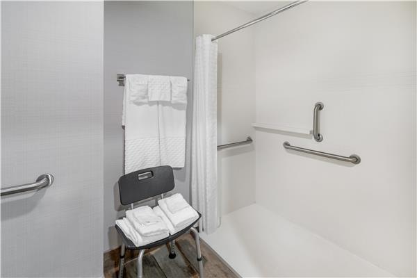 Accessible - 1 King, Mobility Accessible, Roll In Shower, Balcony, View, Non-Smoking