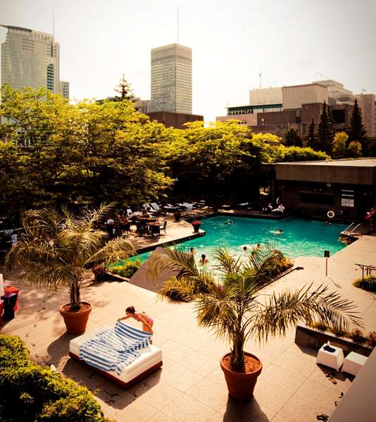 Pool - Hotel Bonaventure Montreal