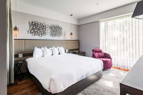 Suite - Hotel Bonaventure Montreal