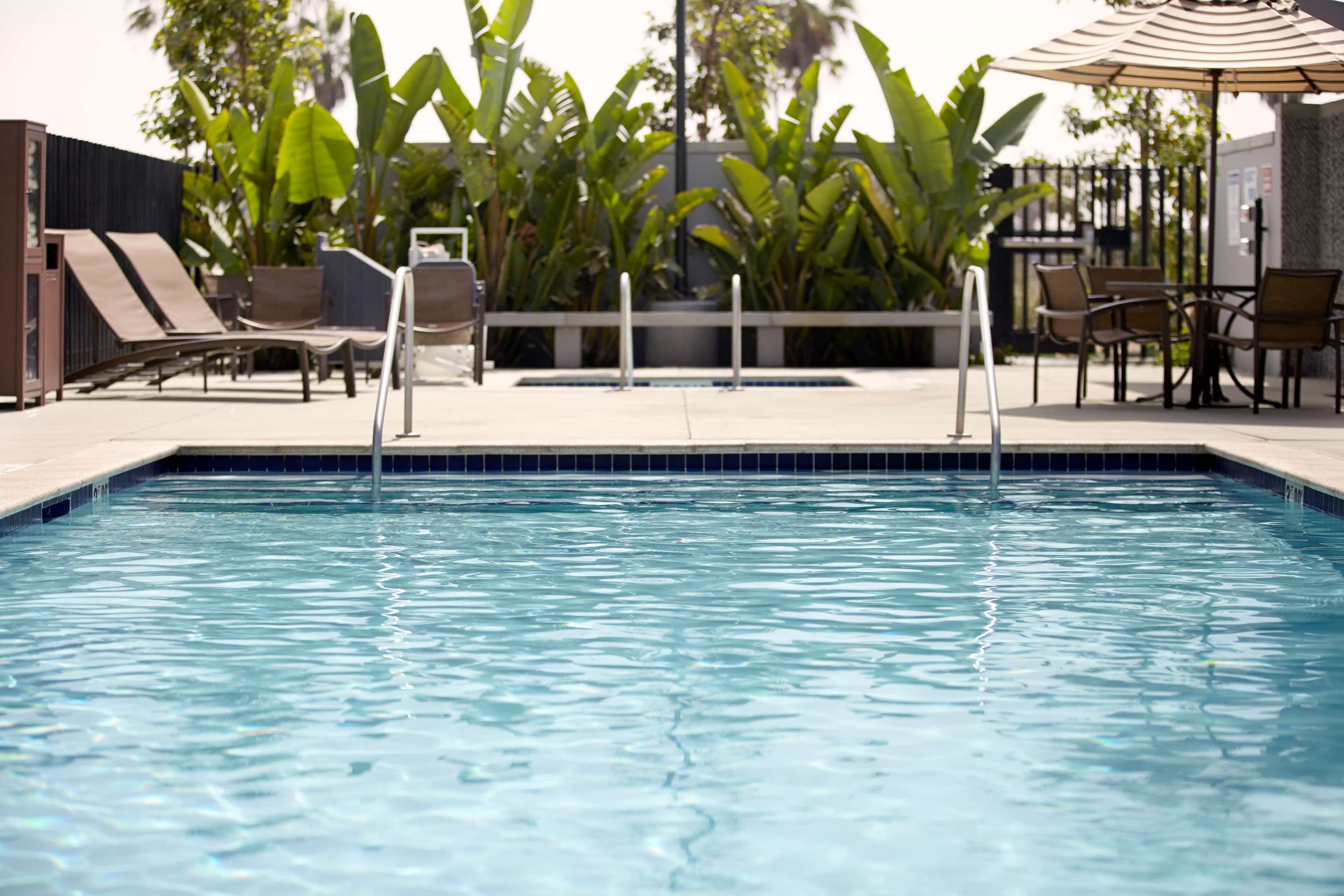 Pool | Hyatt Place Sarasota/Lakewood Ranch