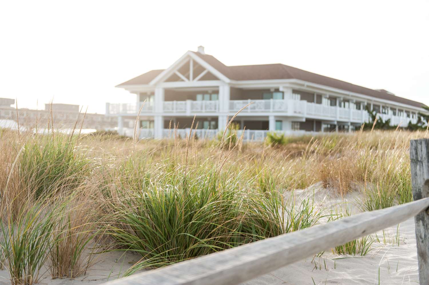 Icona Golden Inn Avalon, NJ See Discounts