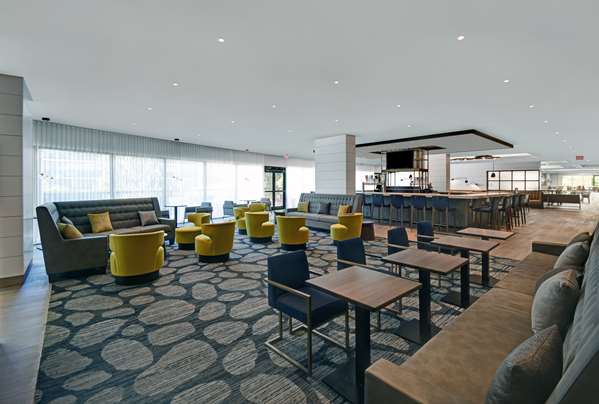 Bar - Hilton Peachtree City Hotel & Conference Center