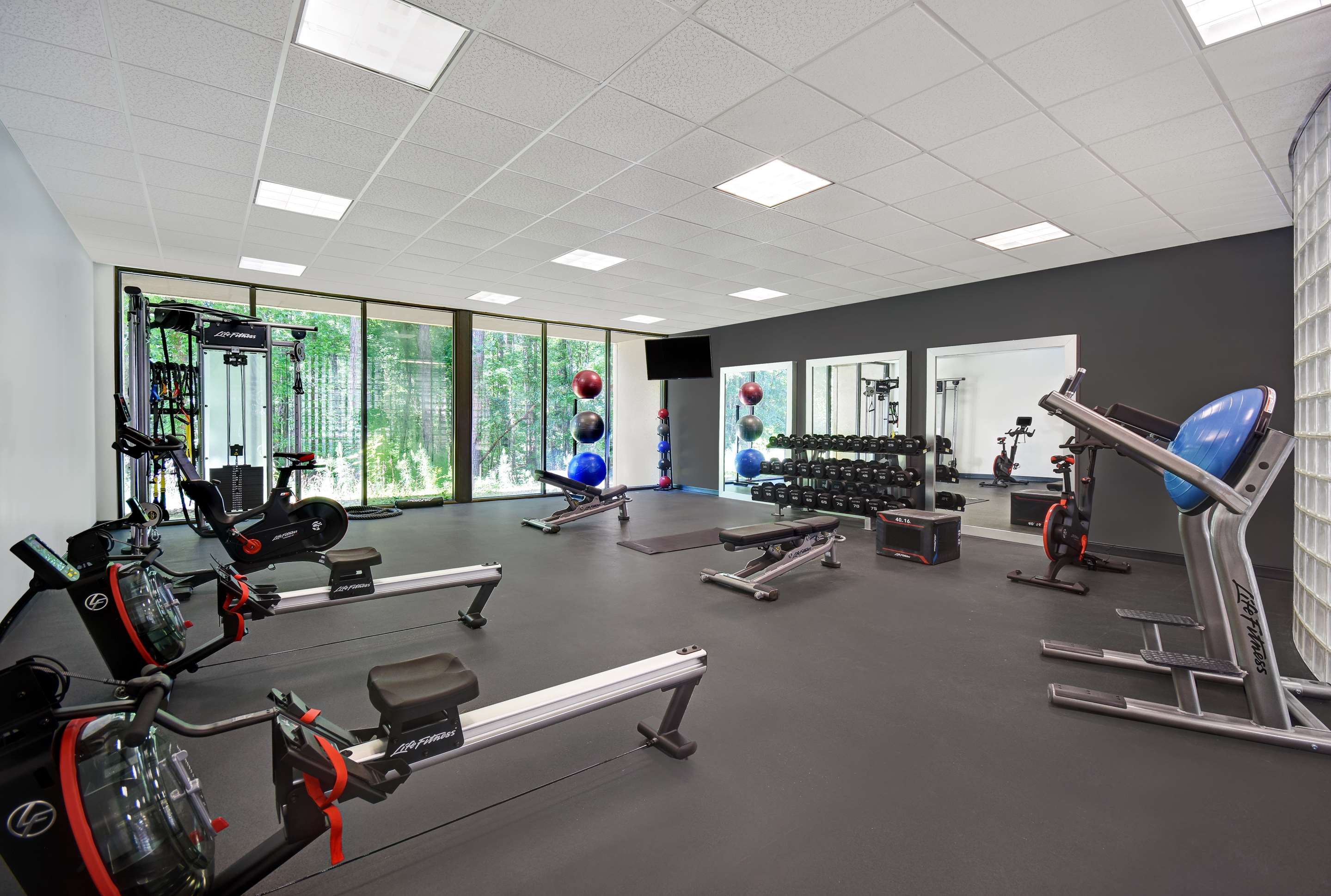 Health club fitness center gym