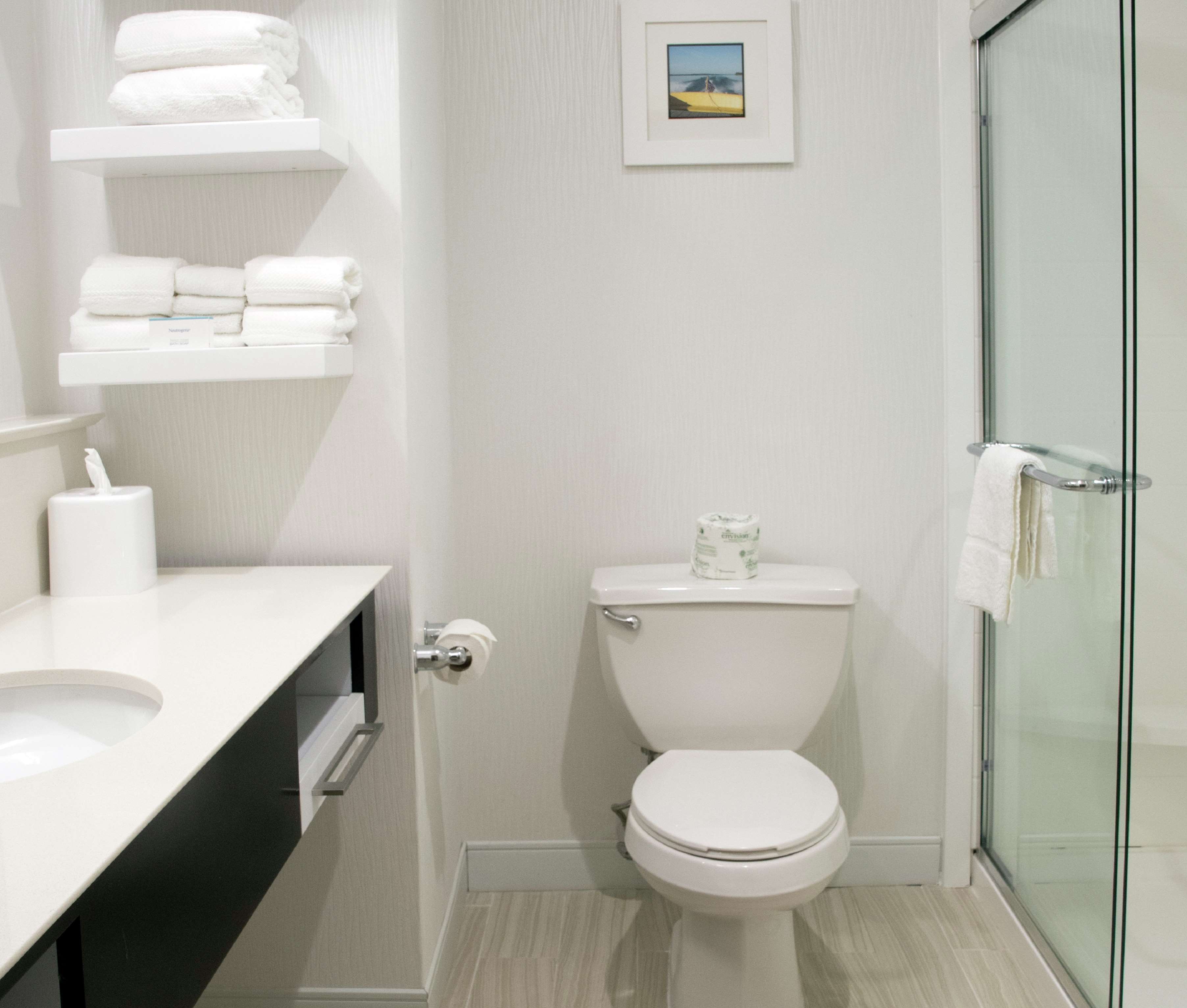 Hampton Inn by Hilton Hartwell Room Type - 1 KNG HEARING ACC NOSMOK