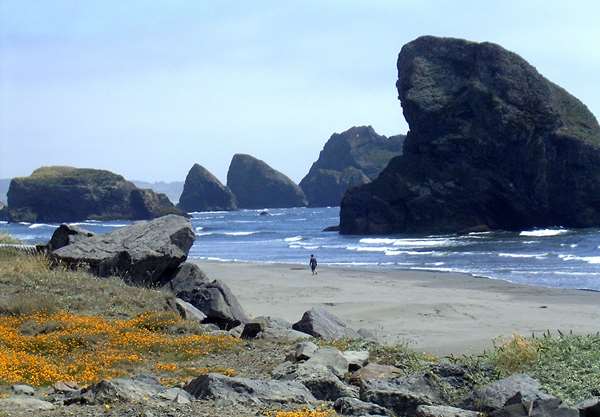  - SureStay Plus Hotel by Best Western Gold Beach