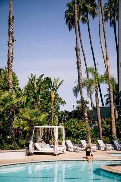 Pool - Hyatt Regency Hotel John Wayne Airport Newport Beach