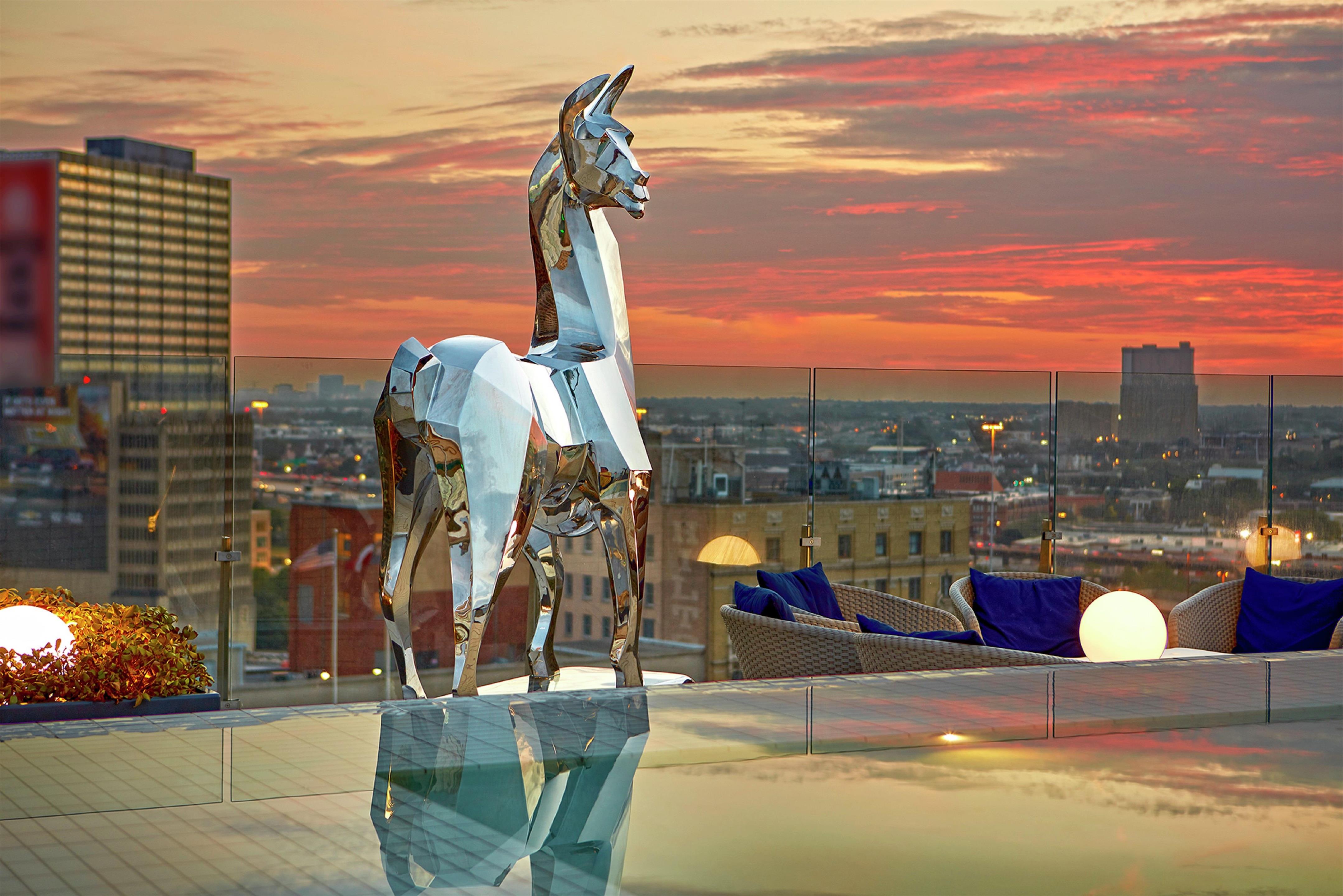 Miscellaneous | The Statler Dallas Curio Collection By Hilton