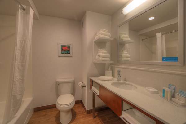  - Hampton Inn Historic Nature Trail Gatlinburg