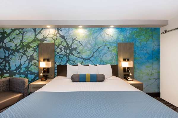  - Wingate by Wyndham Goodlettsville - I-65, Exit 97