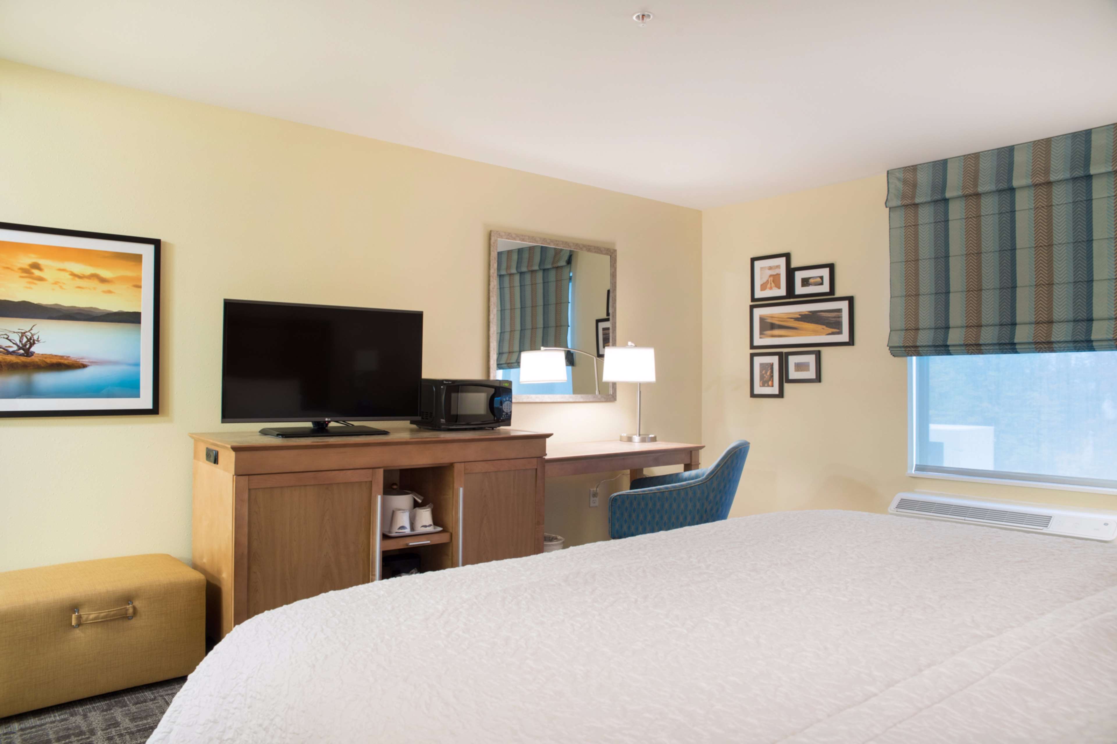 Hampton Inn by Hilton Big Rapids Room Type - 1 KING MICROWV FRIDGE NS