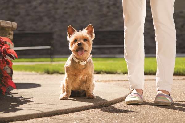 Recreation - Hyatt Place Hotel ORD Airport Rosemont