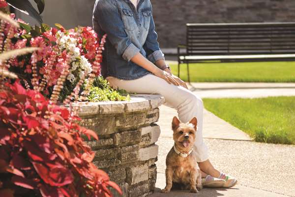 Recreation - Hyatt Place Hotel ORD Airport Rosemont