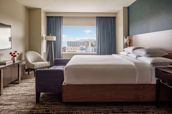 Suite - Hyatt Regency Hotel Conference Center Aurora - I-225, Exits 10 & 10A