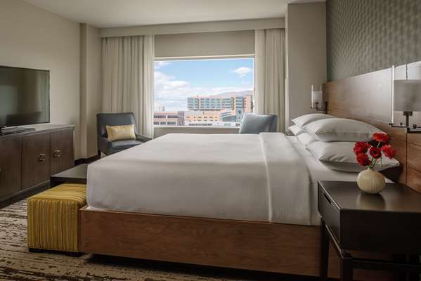 Suite - Hyatt Regency Hotel Conference Center Aurora - I-225, Exits 10 & 10A