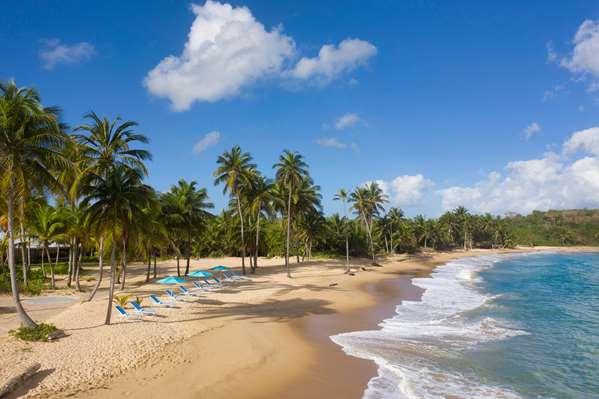 Beach - Hyatt Hacienda del Mar Resort Dorado