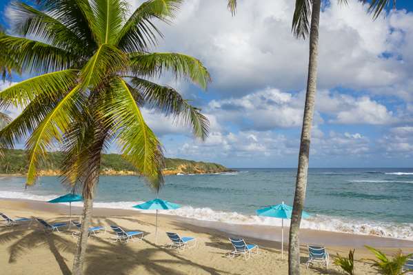 Beach - Hyatt Hacienda del Mar Resort Dorado