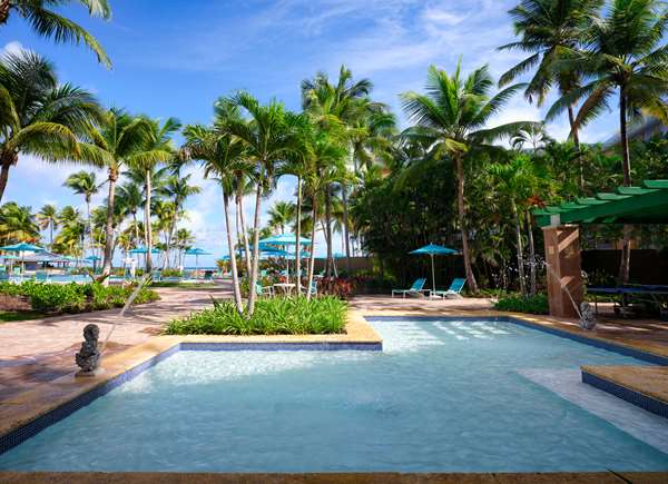 Pool - Hyatt Hacienda del Mar Resort Dorado