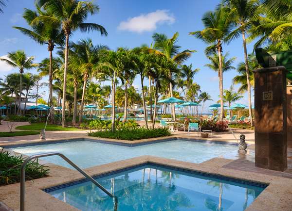 Pool - Hyatt Hacienda del Mar Resort Dorado