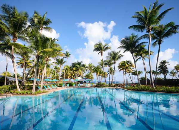 Pool - Hyatt Hacienda del Mar Resort Dorado