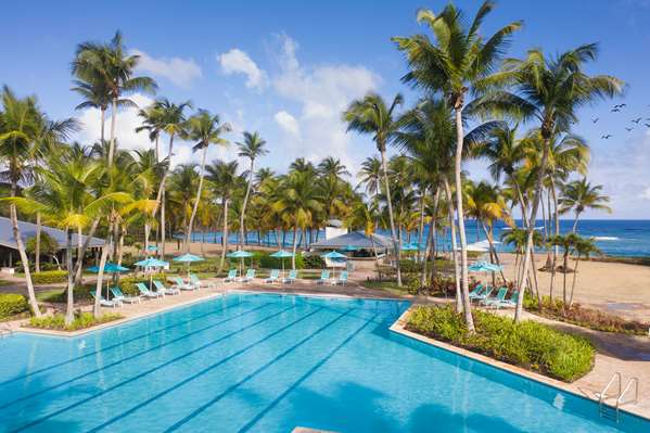 Pool - Hyatt Hacienda del Mar Resort Dorado
