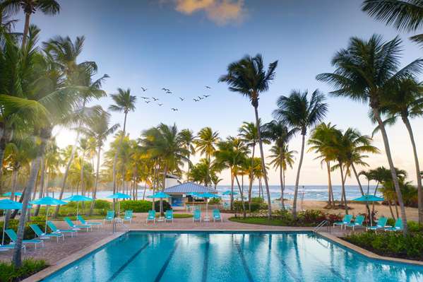 Pool - Hyatt Hacienda del Mar Resort Dorado