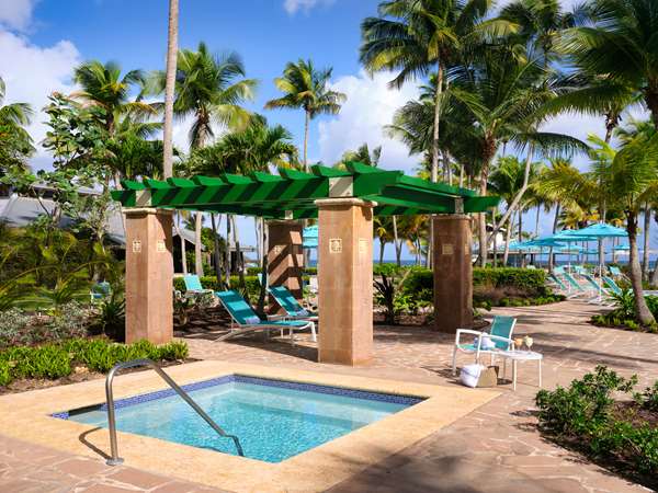 Pool - Hyatt Hacienda del Mar Resort Dorado