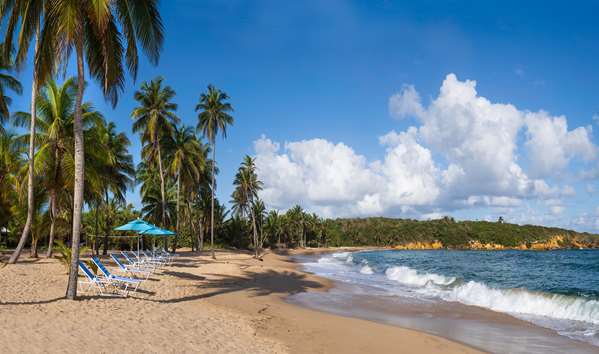 Beach - Hyatt Hacienda del Mar Resort Dorado