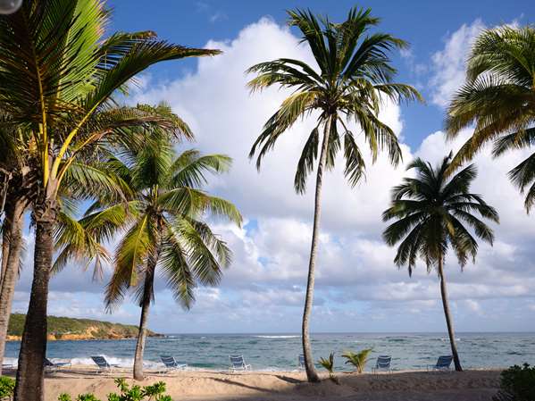 Beach - Hyatt Hacienda del Mar Resort Dorado