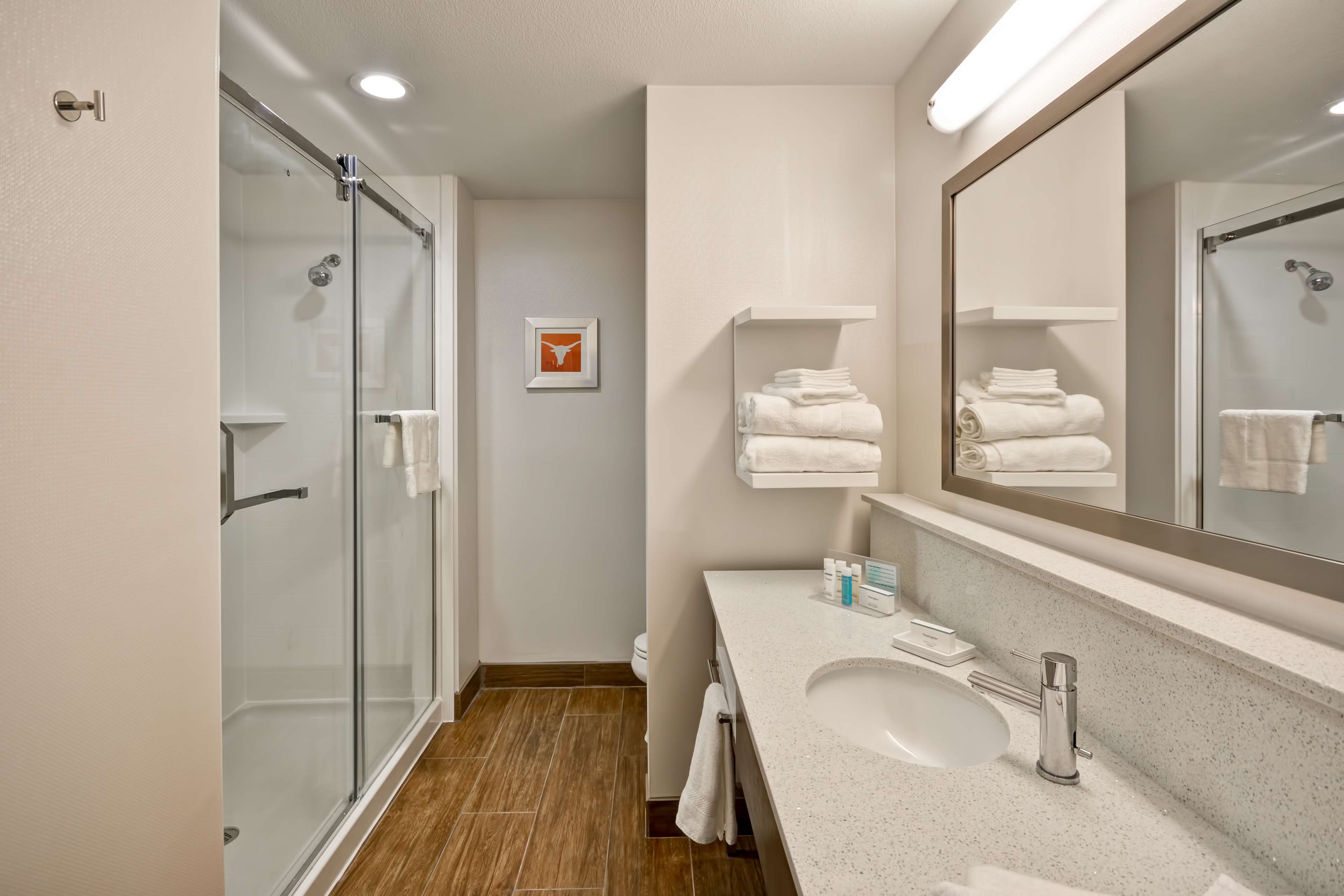 Hampton Inn Kyle Room Type - 1 KING SFBD MIC FRG