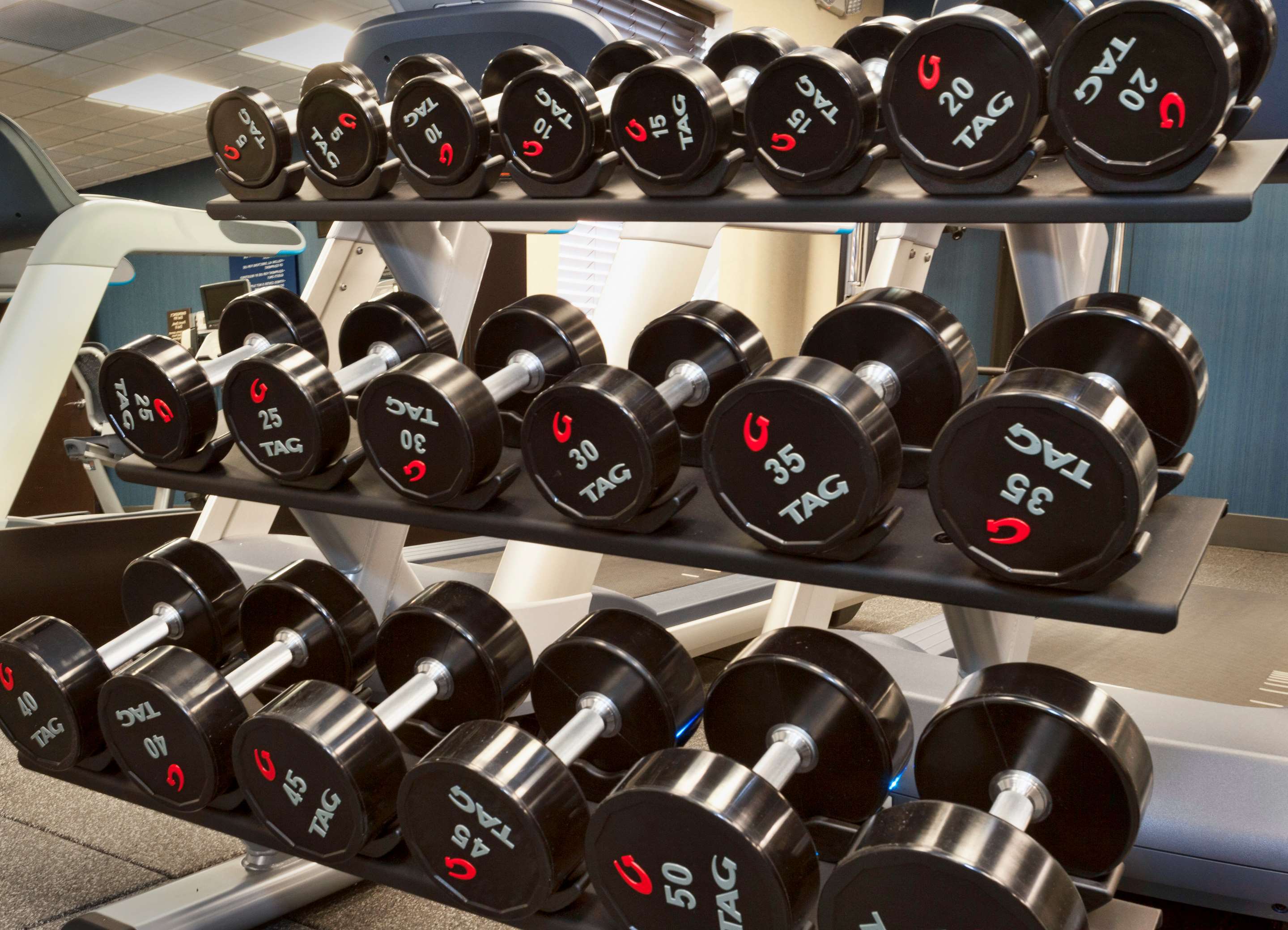 Health club fitness center gym