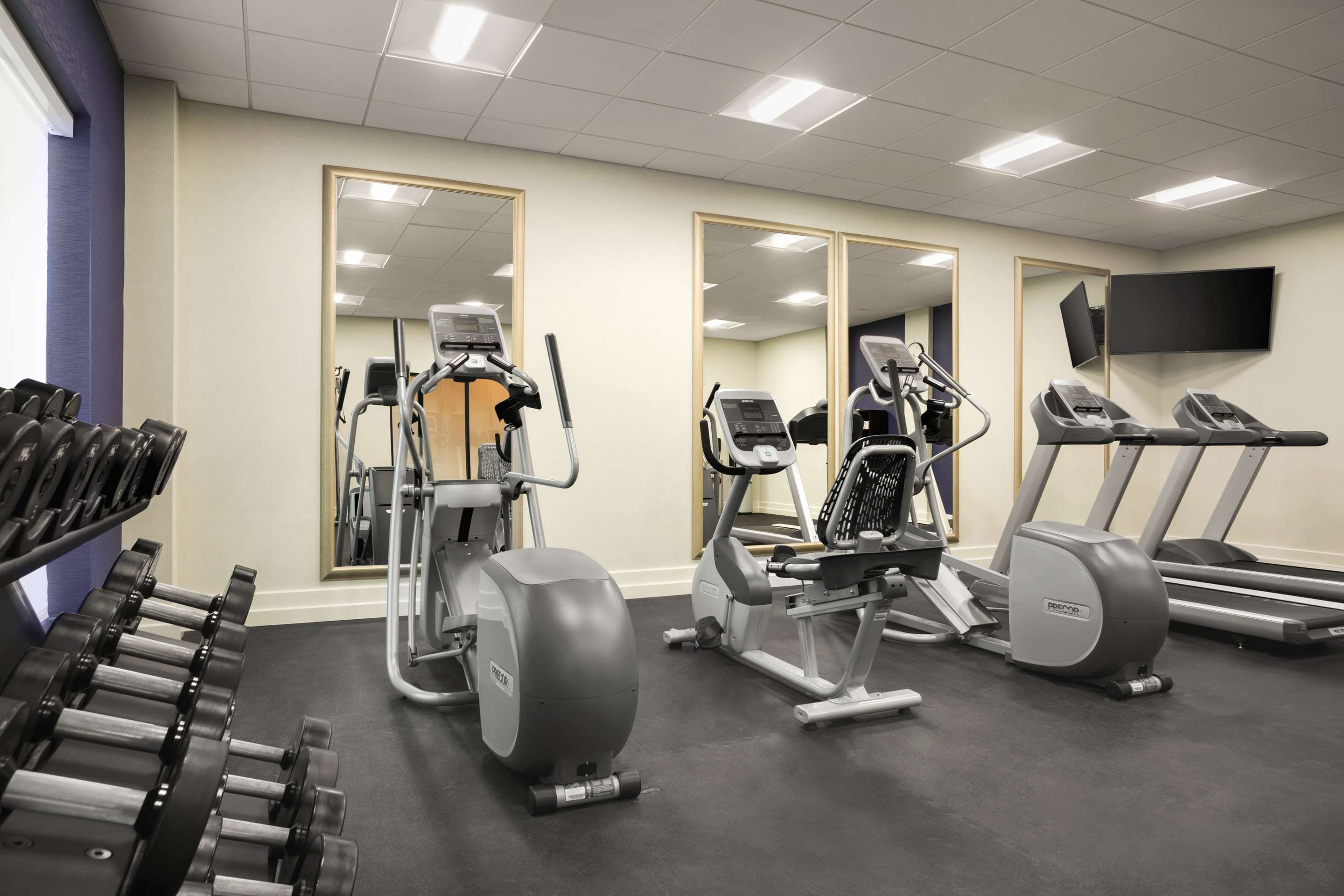 Health club fitness center gym
