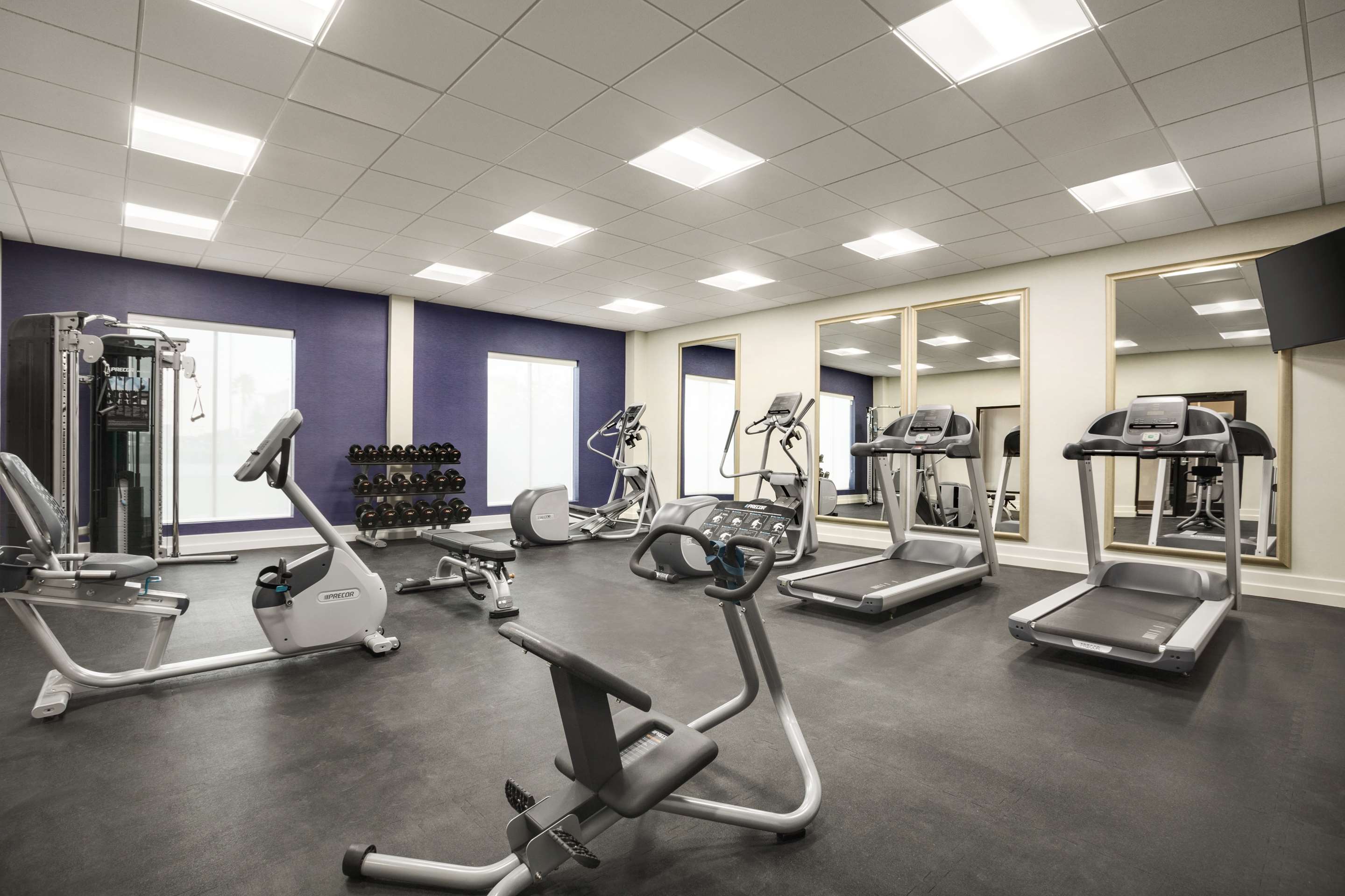 Health club fitness center gym