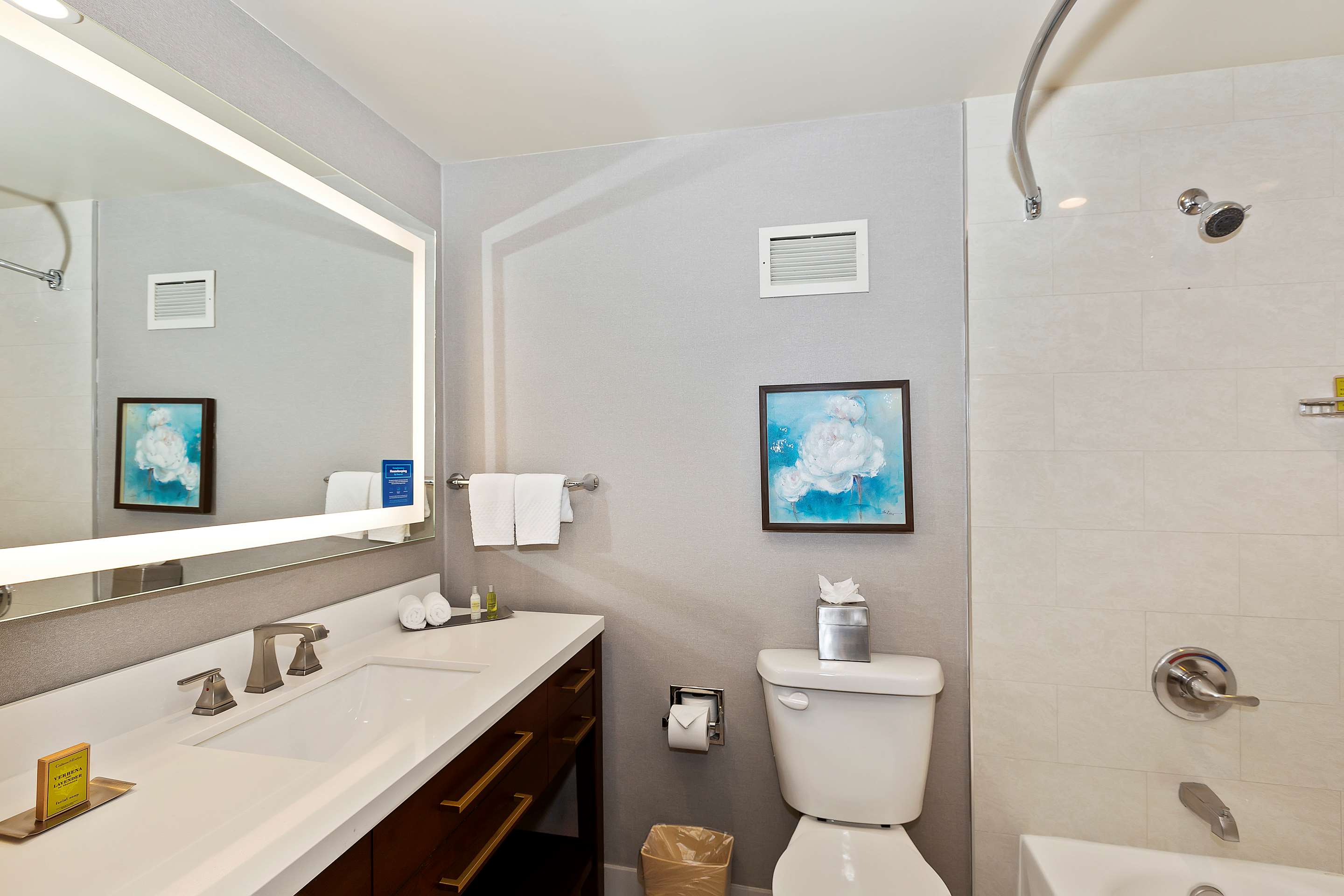 Guest room bath