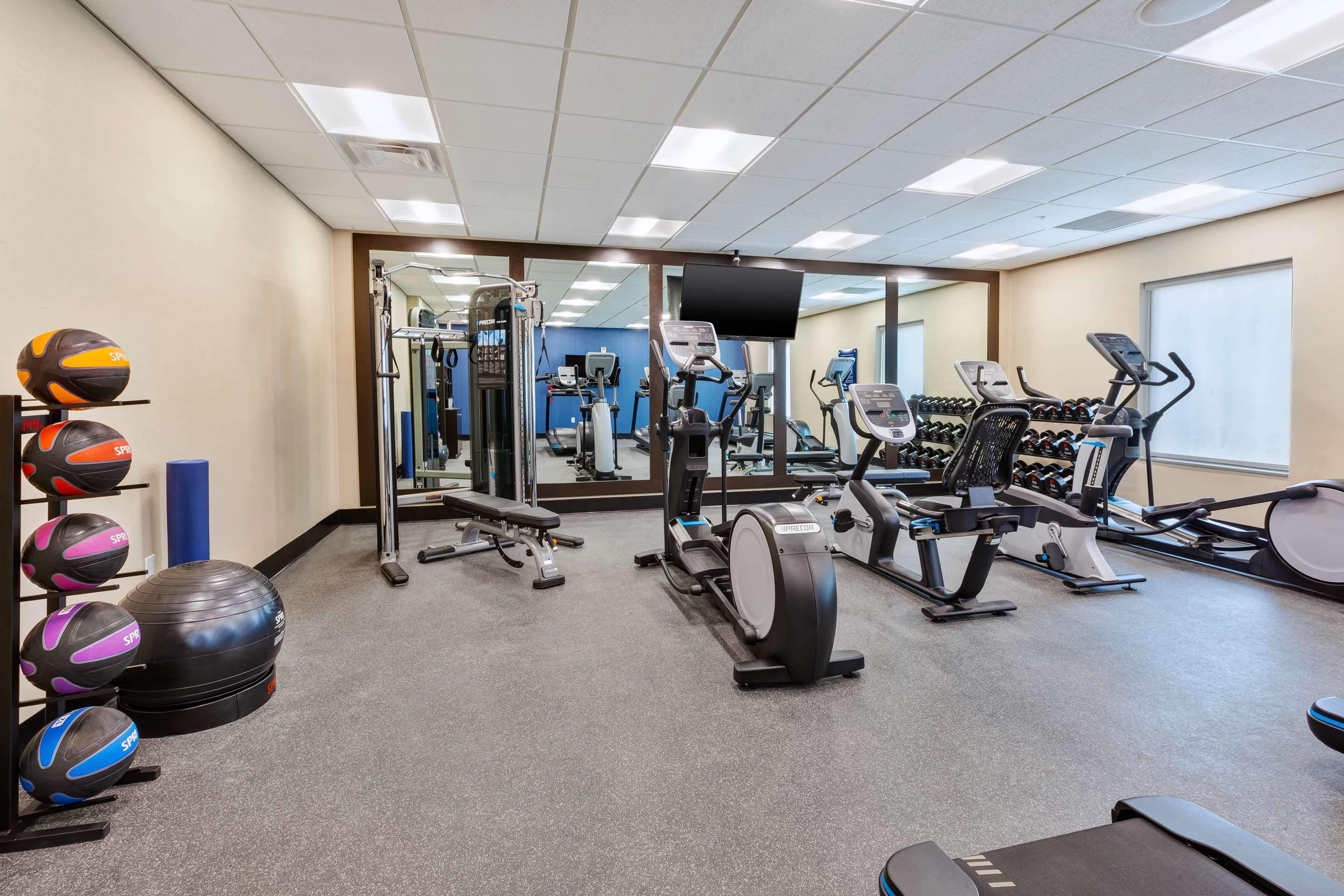 Health club fitness center gym