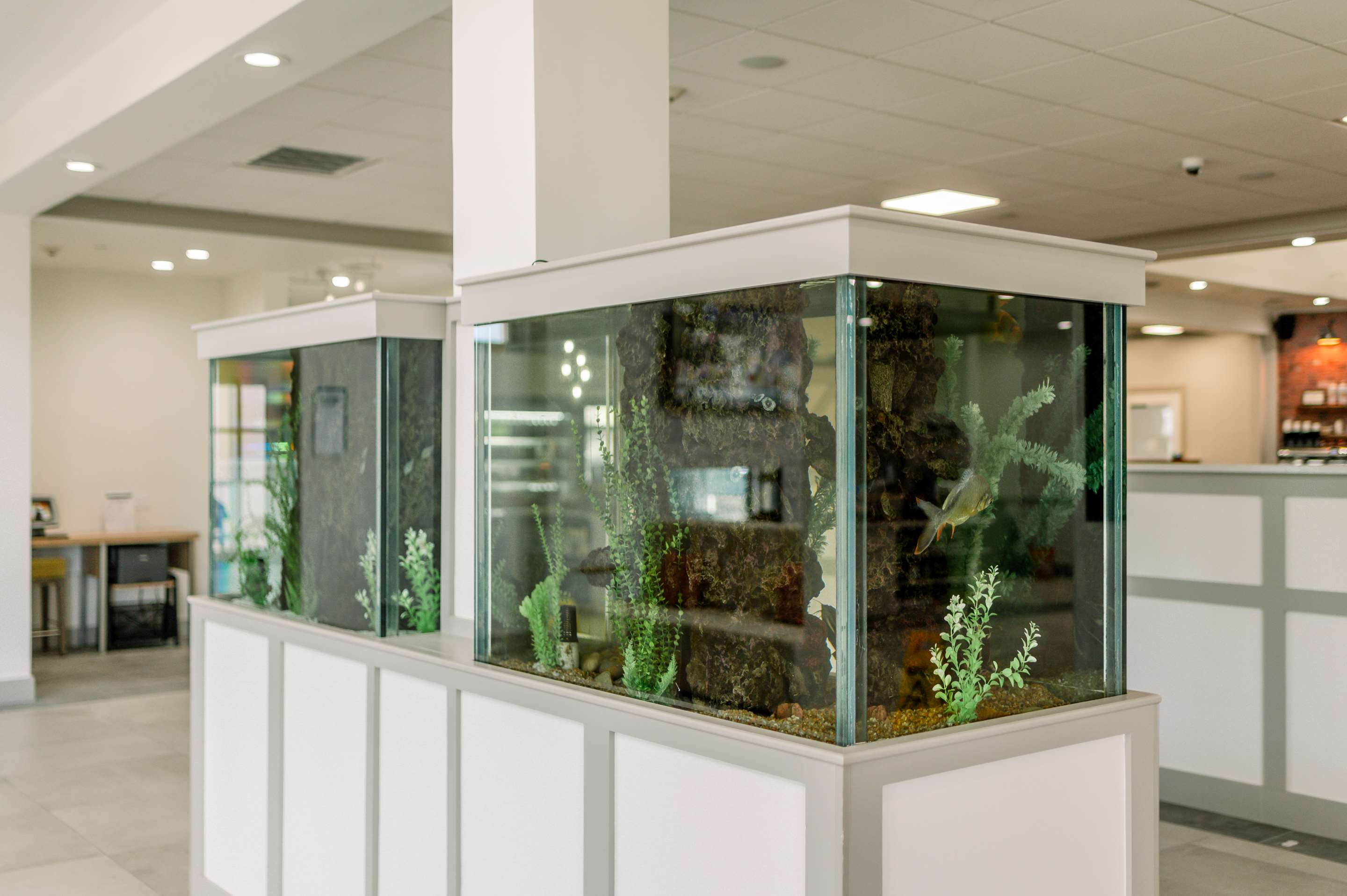 Lobby | Hilton Garden Inn Outer Banks/Kitty Hawk