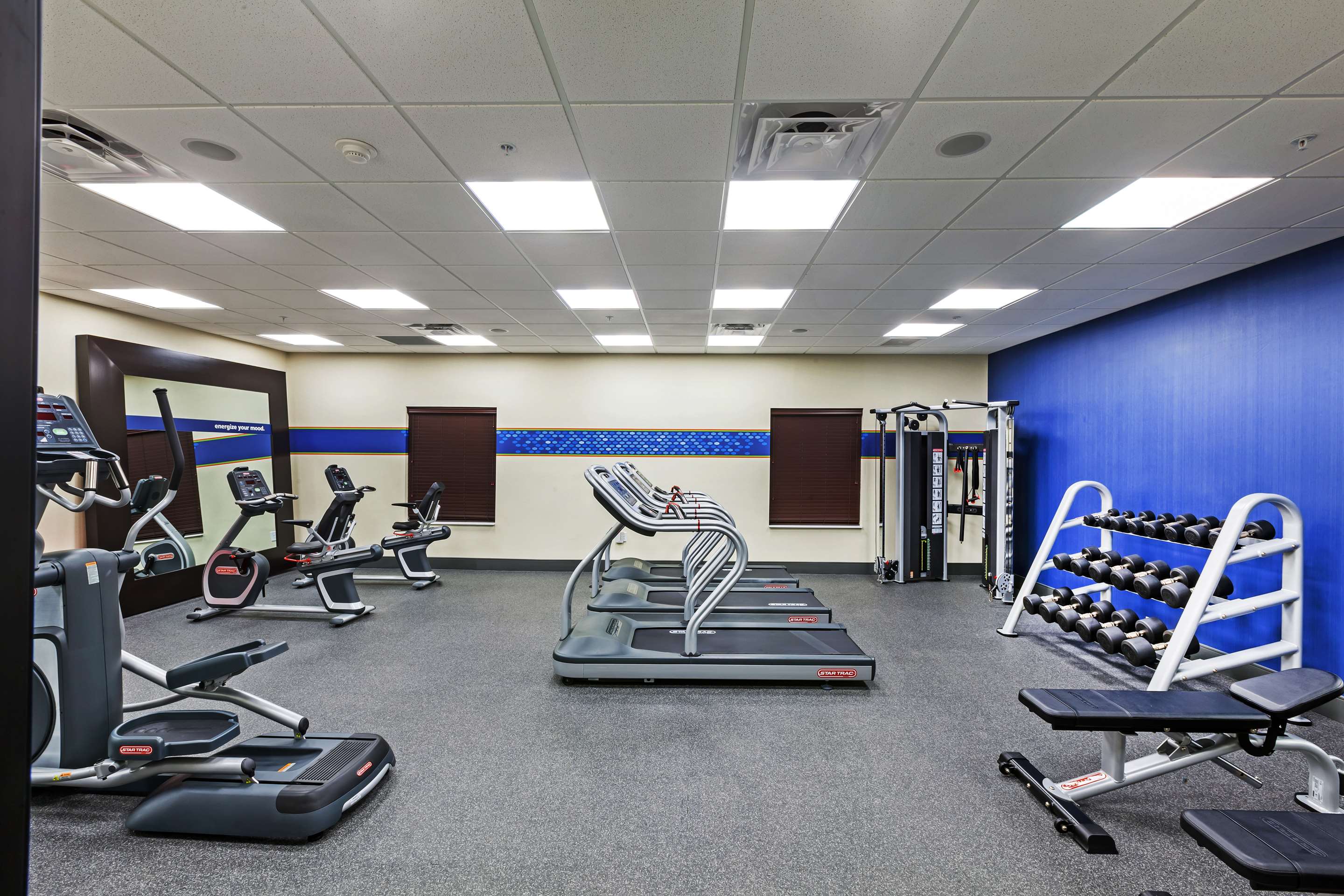 Health club fitness center gym