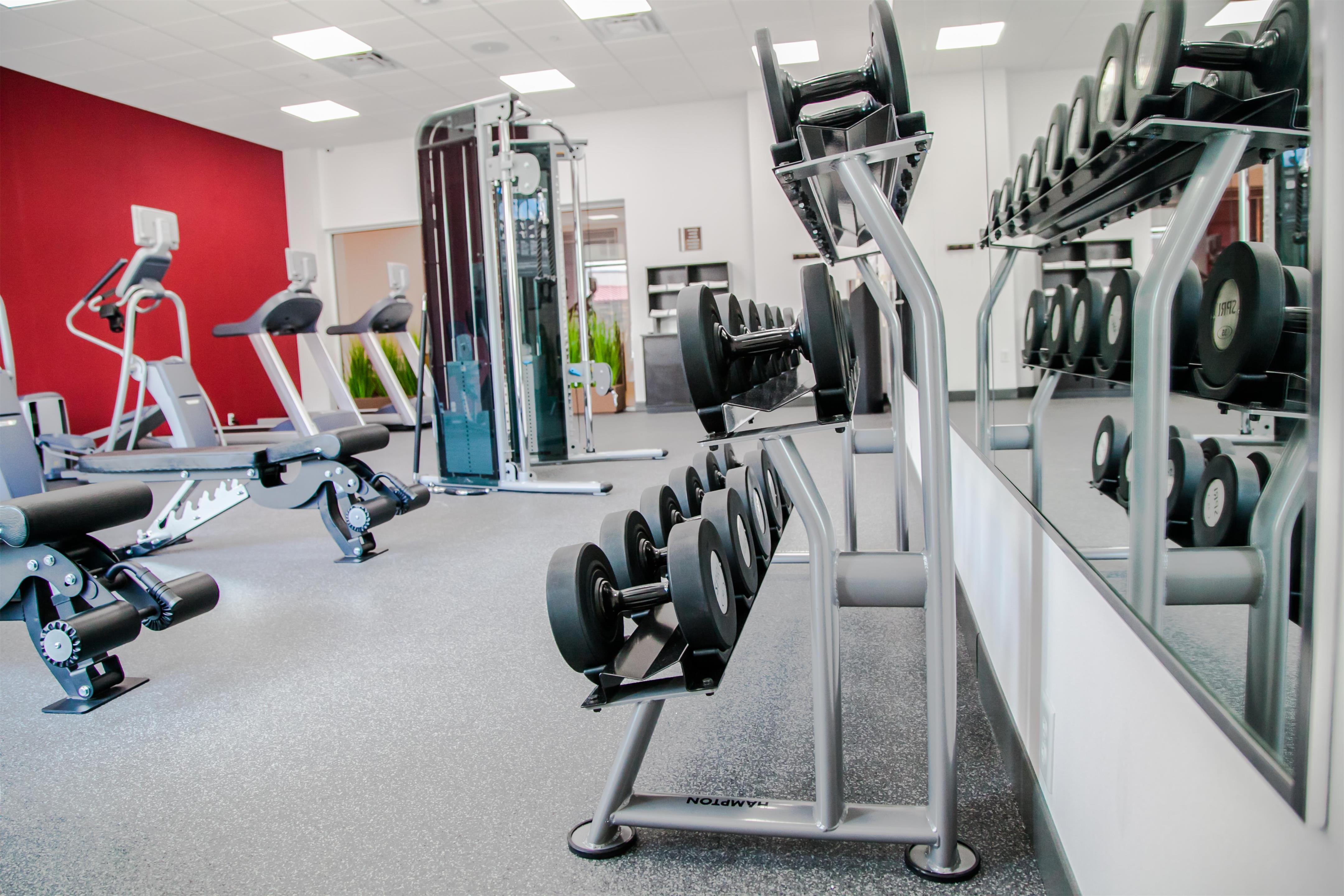 Health club fitness center gym | Hilton Garden Inn Tampa Suncoast Parkway