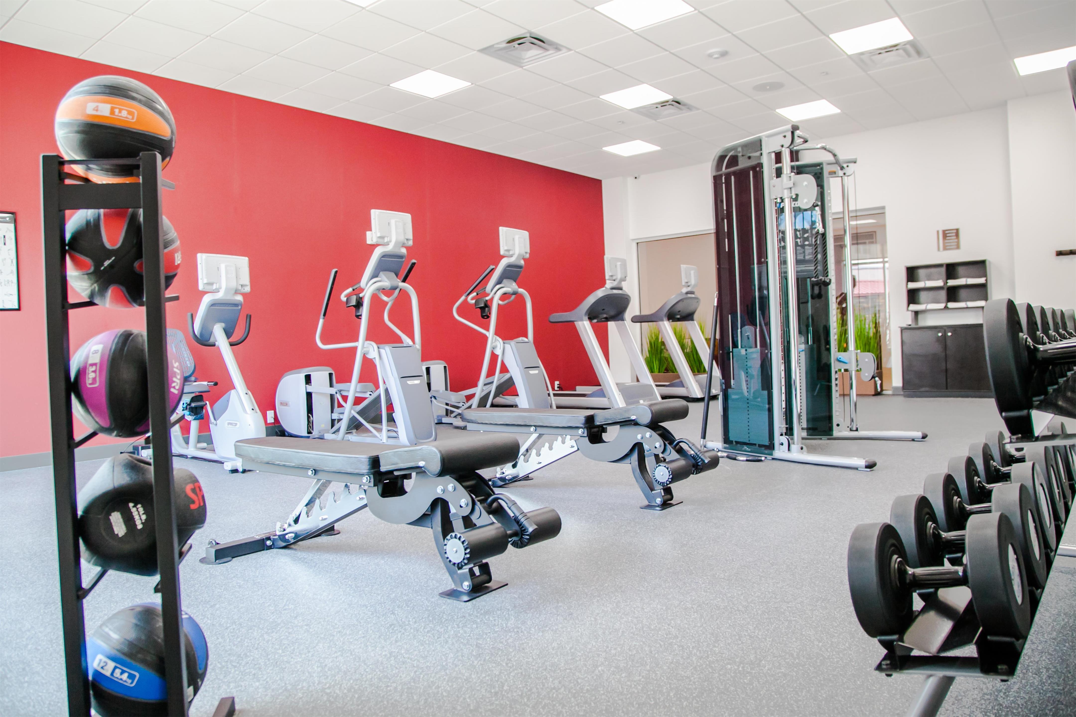 Health club fitness center gym | Hilton Garden Inn Tampa Suncoast Parkway