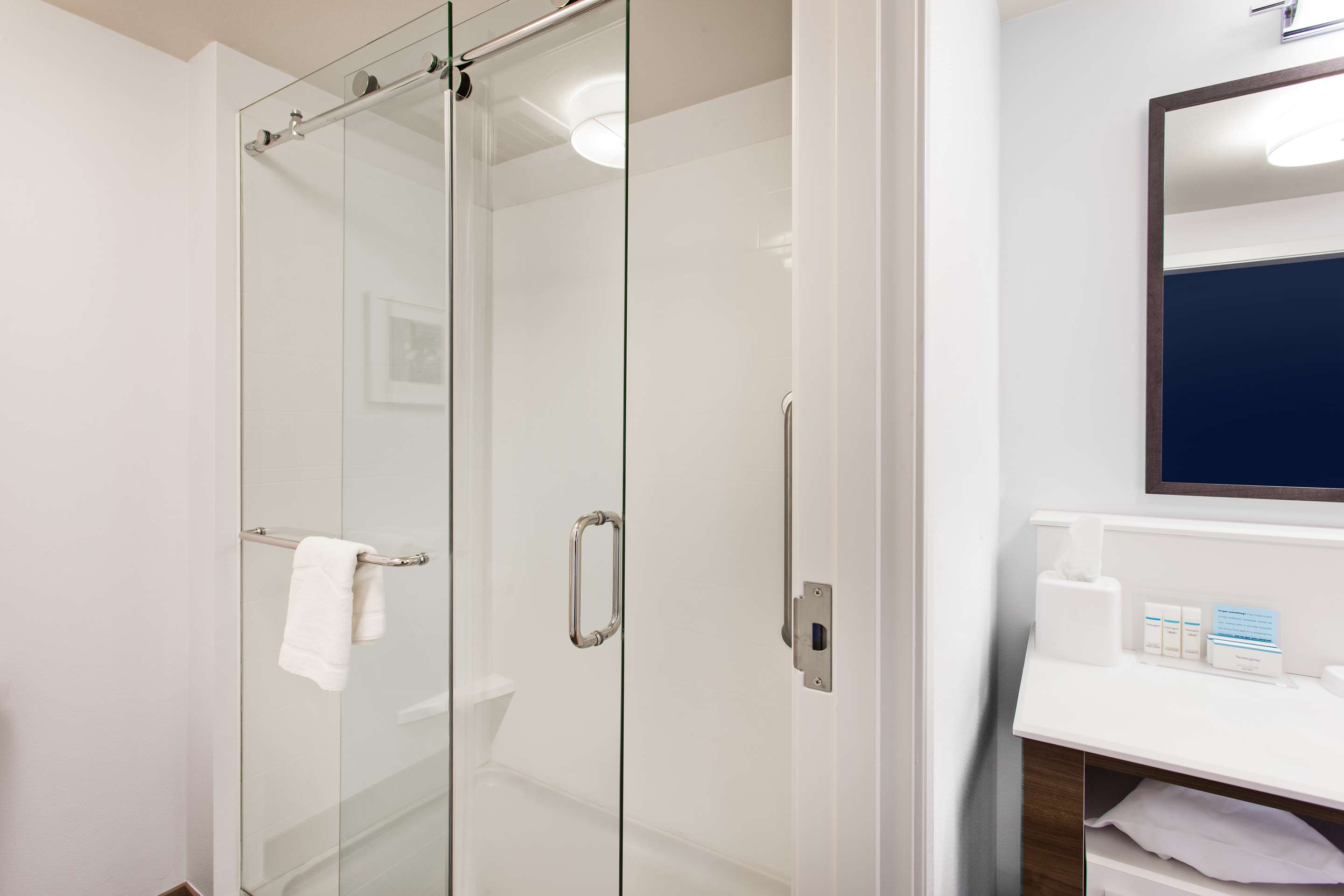 Guest room bath