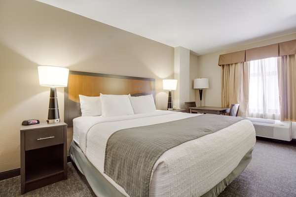  - Surestay Plus Hotel by Best Western Houston Medical Center