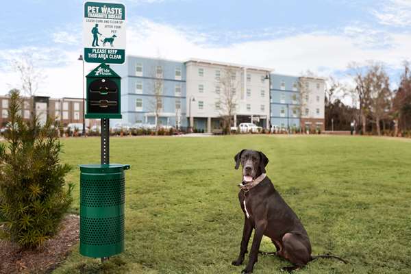 Home2 Suites by Hilton Mt. Pleasant Charleston 7
