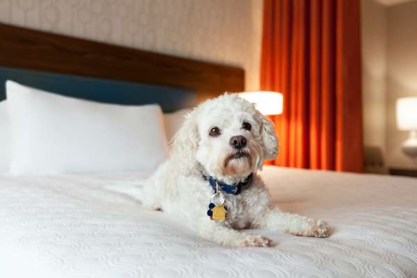  - Home2 Suites by Hilton Mt Pleasant